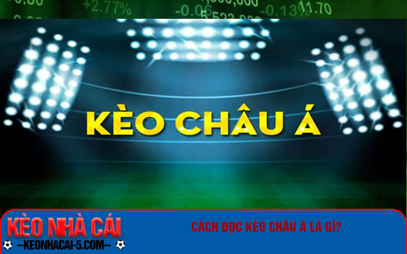 Kèo Châu Á - Cách đọc kèo châu á chi tiết và chuẩn xác 6 Cách đọc kèo châu Á là gì?