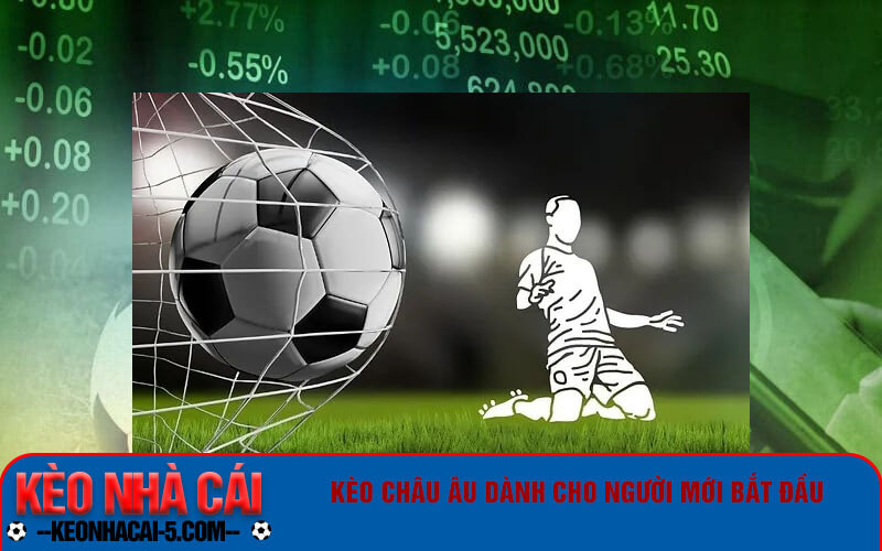 Kèo Châu Âu - Cách đọc kèo Châu Âu cho người mới bắt đầu 8 Cách tính toán tiền thắng khi chơi kèo Châu Âu