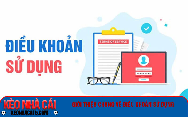 Điều Khoản Sử Dụng khi tham gia kèo nhà cái trực tuyến 4 Giới thiệu chung về điều khoản sử dụng