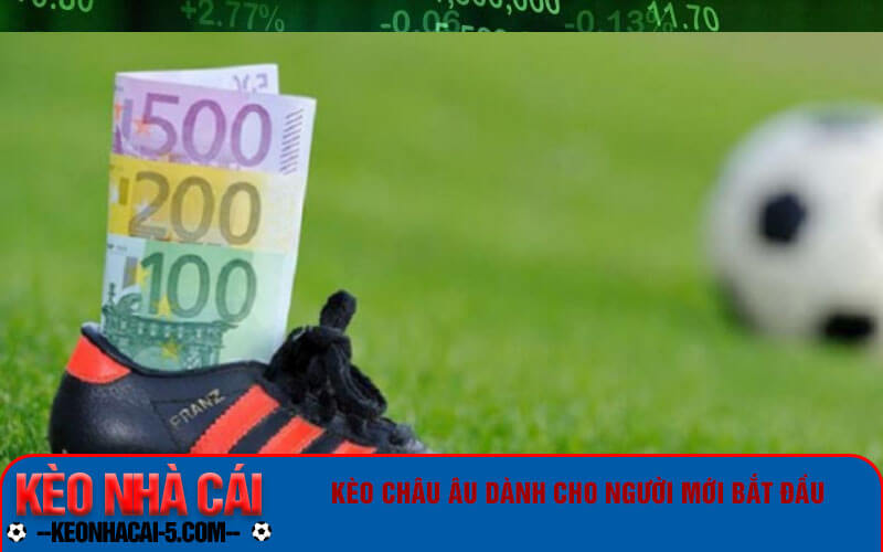 Kèo Châu Âu - Cách đọc kèo Châu Âu cho người mới bắt đầu 7 Kèo Châu Âu dành cho người mới bắt đầu