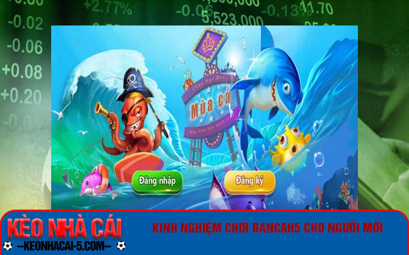 Bancah5 - Kinh nghiệm chơi game bắn cá đổi thưởng uy tín 7 Kinh nghiệm chơi Bancah5 cho người mới