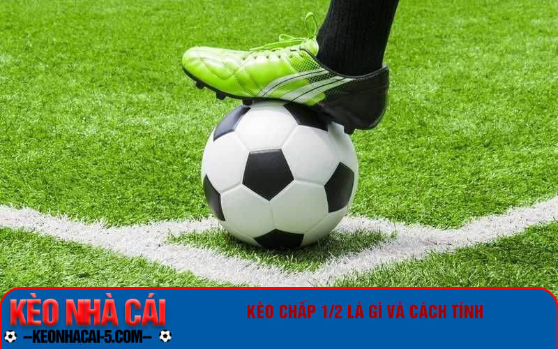 Kèo Chấp 1/2 Là Gì? Cách Chơi Kèo Chấp 1/2 Hiểu Quả 4 Kèo chấp 1/2 là gì và cách tính
