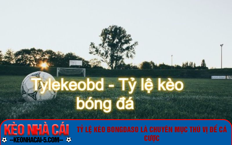 Tỷ Lệ Kèo Bongdaso - Bong Da So Dữ Liệu 66 Trực Tuyến 4 Tỷ lệ kèo bongdaso là chuyên mục thú vị để cá cược