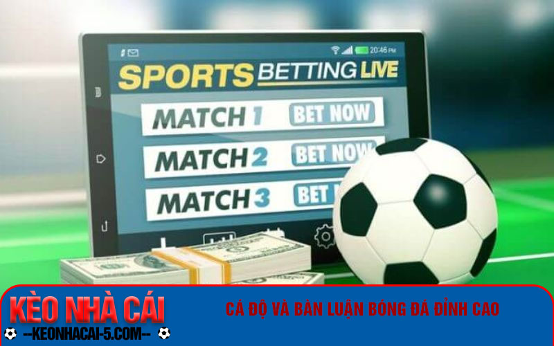 Top Diễn Đàn Cá Độ Bóng Đá - Trang Cá Cược Bóng Đá 2024 6 Cá độ và bàn luận bóng đá đỉnh cao
