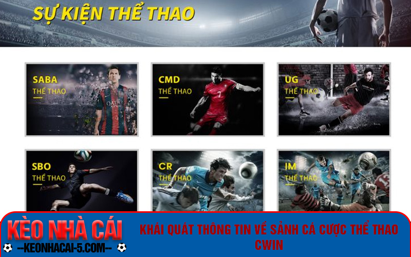 Thể Thao Cwin - Sảnh Cược Quốc Dân Đáng Chơi Nhất 2024 5 Thể thao là điểm dừng chân của nhiều người