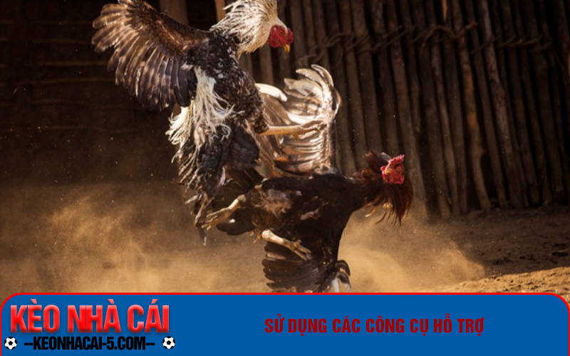 Đá Gà Ws168 - Giải Trí Đỉnh Cao, Kiếm Tiền Thả Ga 8 Sử dụng các công cụ hỗ trợ