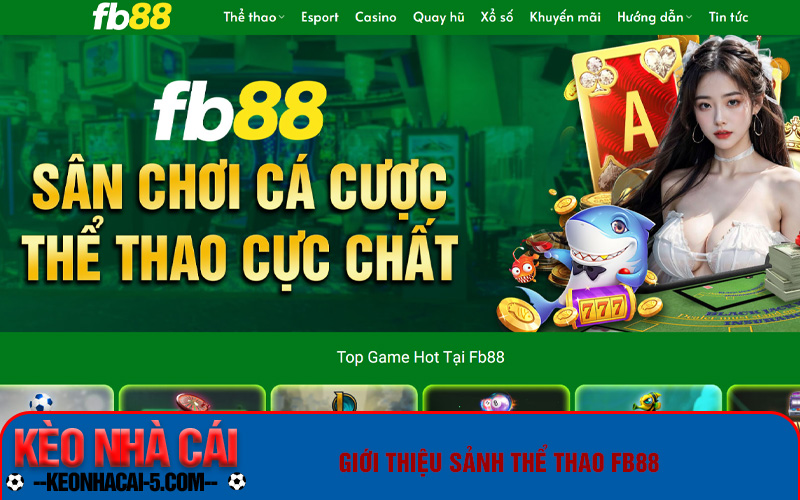 Tìm Hiểu Sảnh Thể Thao Fb88 Chi Tiết Nhất Cùng Keonhacai 5 Giới thiệu sảnh thể thao fb88