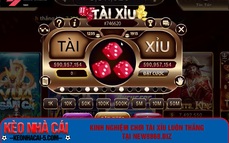Hướng Dẫn Chơi Tài Xỉu New8868.Biz | Sân Chơi Đỏ Đen Vip 6 Kinh nghiệm chơi tài xỉu luôn thắng tại New8868.biz