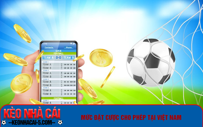 Cá Độ Bóng Đá Việt Nam Như Thế Nào Là Hợp Pháp? 7 Mức đặt cược cho phép tại Việt Nam