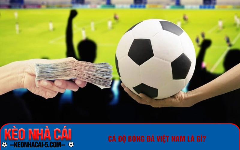 Cá Độ Bóng Đá Việt Nam Như Thế Nào Là Hợp Pháp? 5 Cá độ bóng đá việt nam là gì?