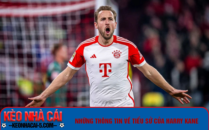 Tiểu Sử Harry Kane - Thành Tích Sự Nghiệp Sân Cỏ Đỉnh Cao 5 Những thông tin về tiểu sử Harry Kane