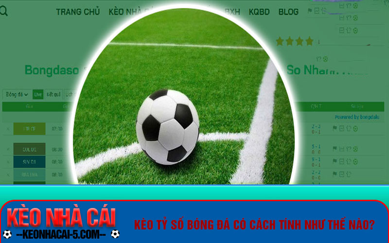 Tỷ Lệ Bóng Đá Tv Và Các Loại Kèo Cược Thông Dụng Hiện Nay 7 Kèo tỷ số bóng đá có cách tính như thế nào?
