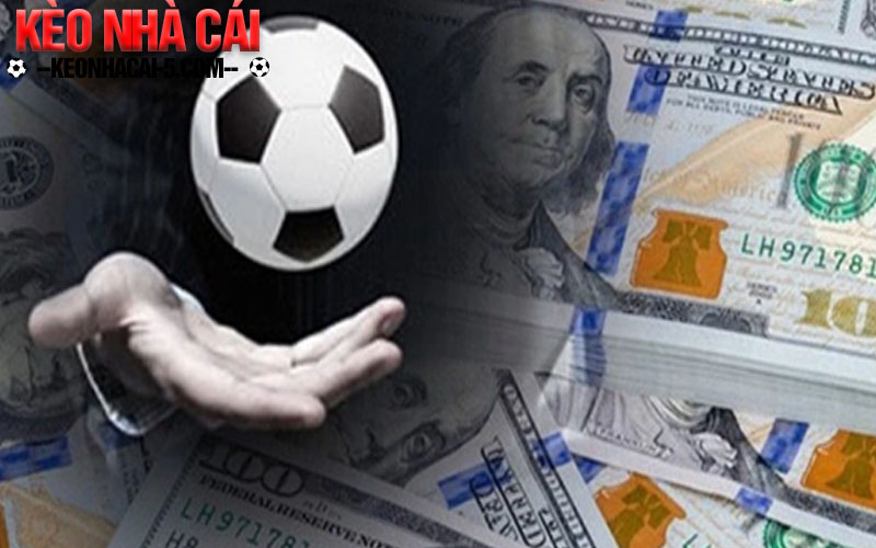 Công Thức Cá Độ Bóng Đá Chuẩn Chỉ Từ Chuyên Gia 7 Công thức cá độ bóng đá Surebets