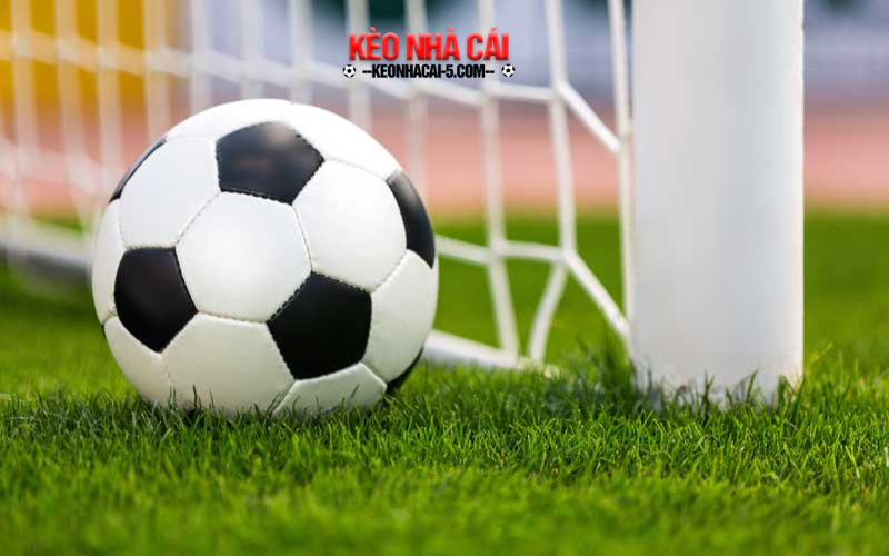 Thể Thao Fun88 - Sân Chơi Cá Cược Hot Nhất 2024 7 Kinh nghiệm cá cược thể thao fun88 không thua