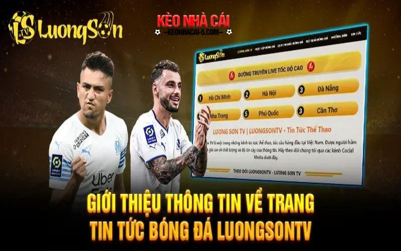 Luongson Tv - Nền Tảng Theo Dõi Bóng Đá Hd Không Có Quảng Cáo 5 Thông tin cơ bản về trang web LuongSon TV