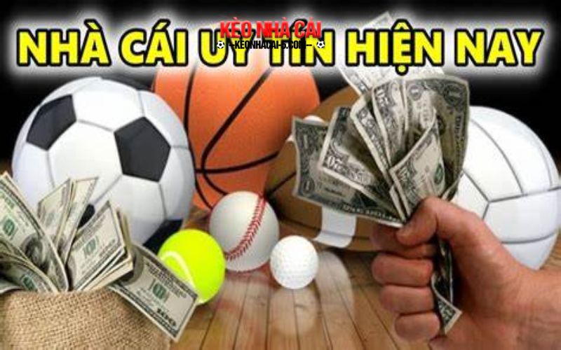 Nhà Cái Uy Tín Nhacai24h.Net - Nền Tảng Cá Cược Dễ Chơi, Dễ Trúng Thưởng 5 Lựa chọn an toàn, minh bạch cho mọi bet thủ