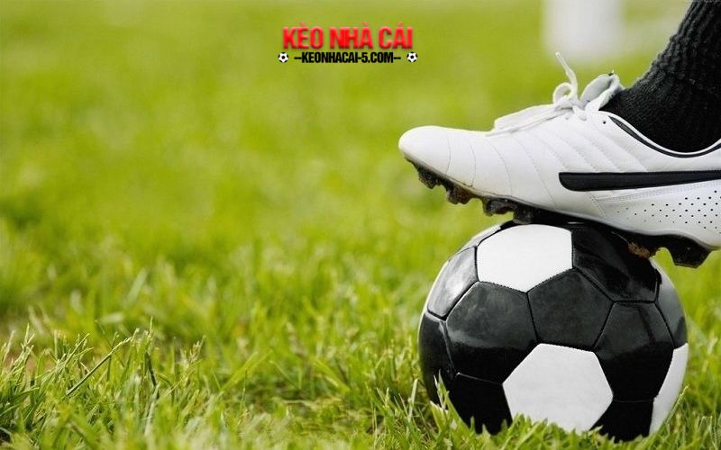 Trang Cá Độ Bóng Đá, Cá Cược Bóng Đá Nổi Bật 2024 6 Tính năng vượt trội chỉ có tại trang web uy tín hàng đầu