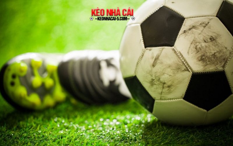 Trang Cá Độ Bóng Đá, Cá Cược Bóng Đá Nổi Bật 2024 5 Tổng quan về trang web uy tín hàng đầu