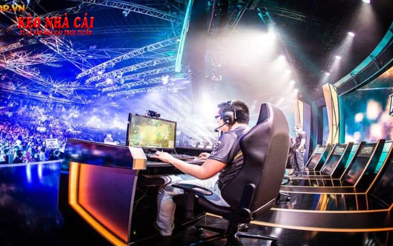 Ca-Do-Esport.Bet - Nhà Cái Esport Với Tỷ Lệ Thưởng Cao Top Đầu 5 Một số thông tin cơ bản về nhà cái trực tuyến Esport