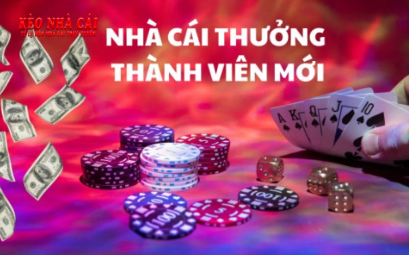 Vsbet.Fun - Trải Nghiệm Cá Cược Mới Mẻ, Thú Vị Và An Toàn 6 Điểm danh các đãi ngộ dành cho khách hàng Vsbet