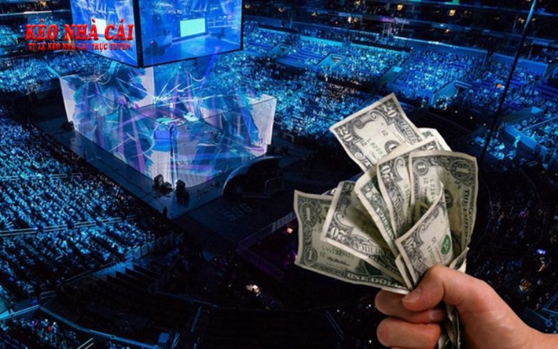 Esports.Ryukyu - Nhà Cái Thể Thao Esports Với Tỉ Lệ Thắng 98% 5 Tổng quan thông tin cơ bản về nhà cái thể thao eSport