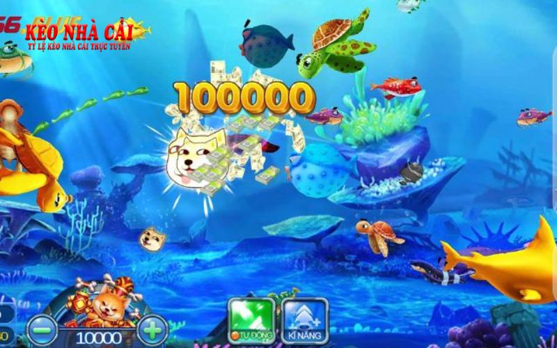 Banca.Tv - Cổng Game Bắn Cá Đổi Thưởng Uy Tín Số 1 7 Hướng dẫn truy cập và tham gia chơi bắn cá đơn giản